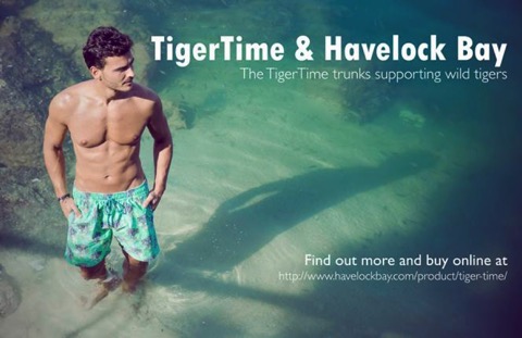 HavShorts